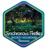 Synchronous Fireflies, Great Smoky Mountains National Park, Tennessee